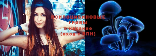 сатива Володарск