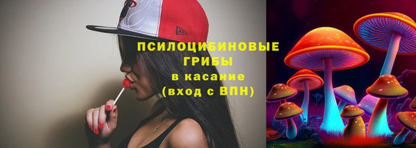 сатива Володарск