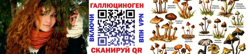 Псилоцибиновые грибы Cubensis  купить наркоту  МЕГА зеркало  Каргат 